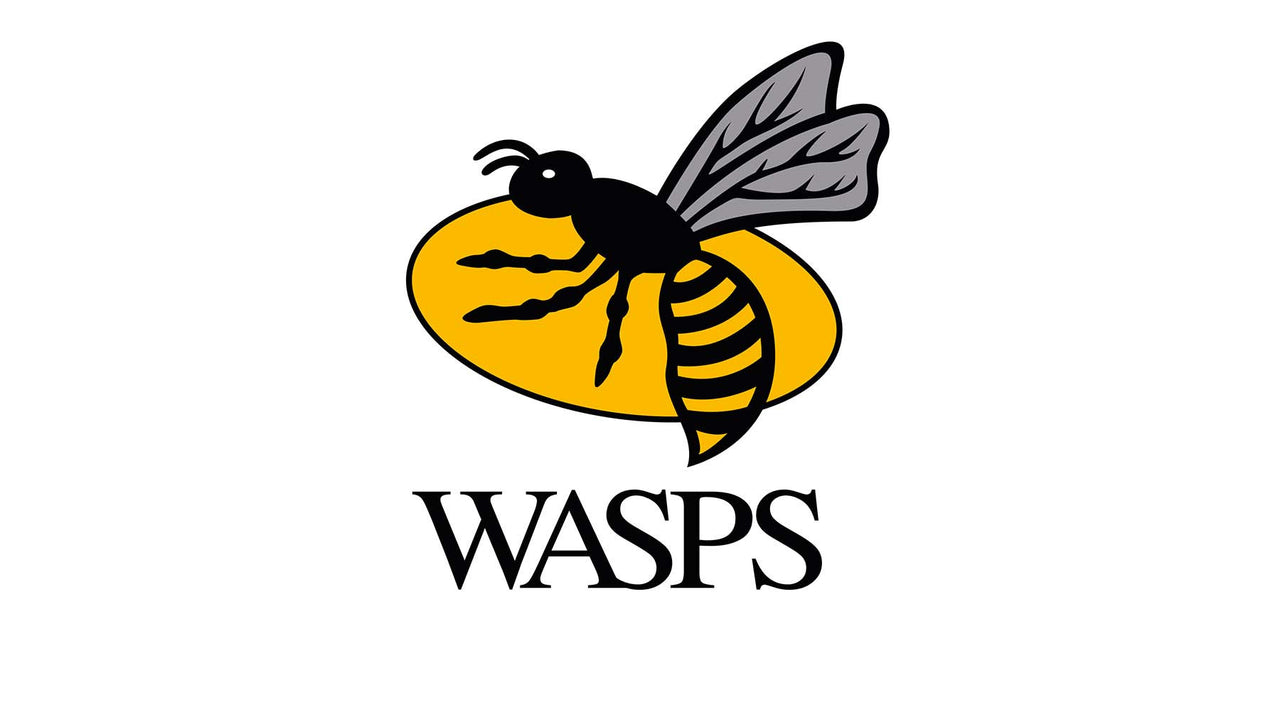 History of Wasps